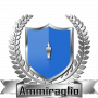 amm_dgt.png
