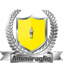 amm_trs.png