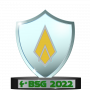 4_bsg_2022.png
